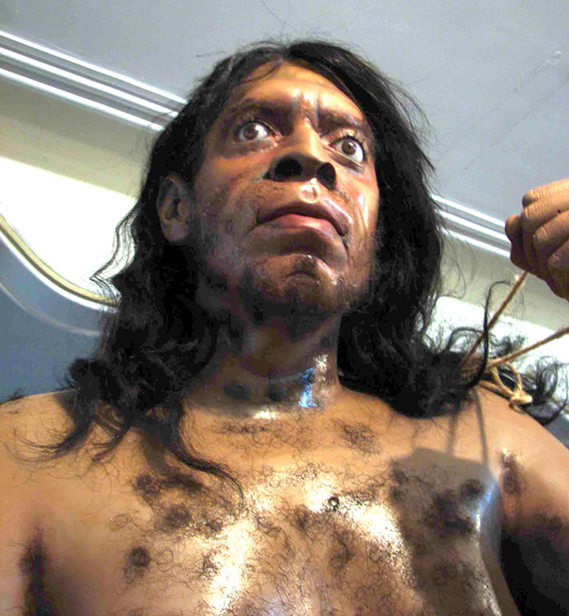Neanderthals' large eyes may have hurt their chances